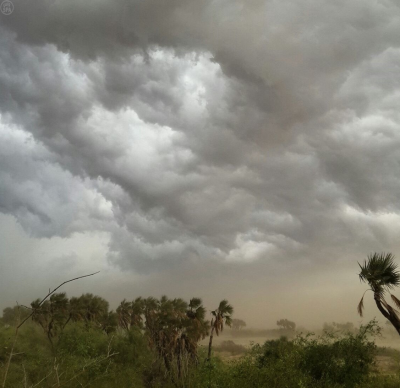 jazan-region-heavy-rain