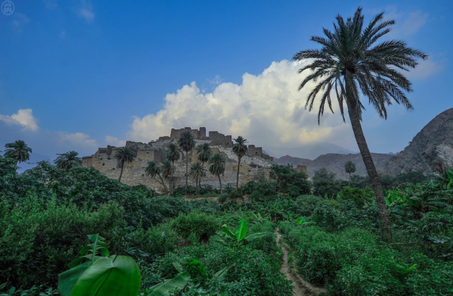 Lush greens and sunny weather in Baha, Saudi Arabia