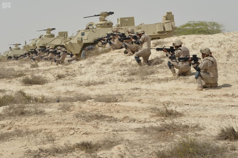 saudi-military-security-navy-beach12