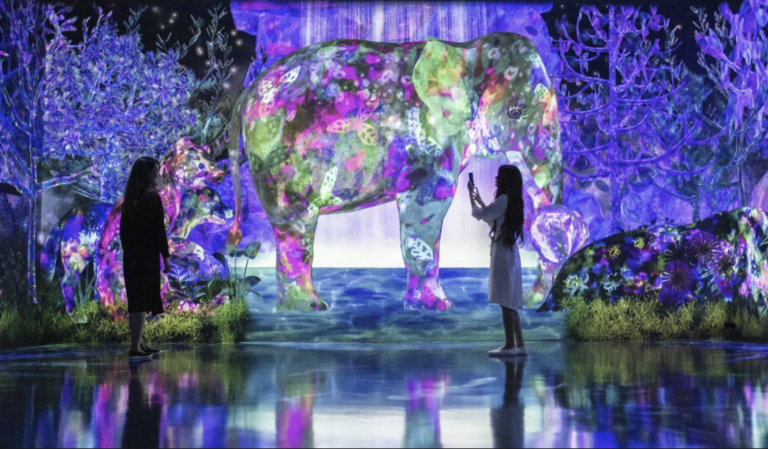 Catching and Collecting Forest
teamLab, 2020, Interactive Digital installation, Endless, Sound: Hideaki Takahashi