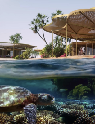 Renderings of the new Coral Bloom design.